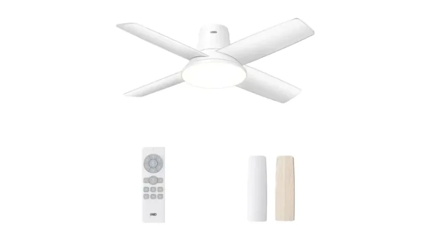 Ceiling Fan CLF513