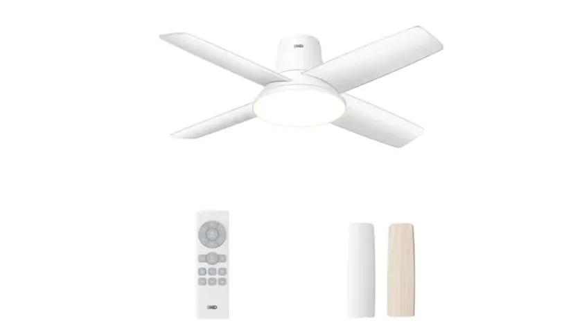 Ceiling Fan CLF513