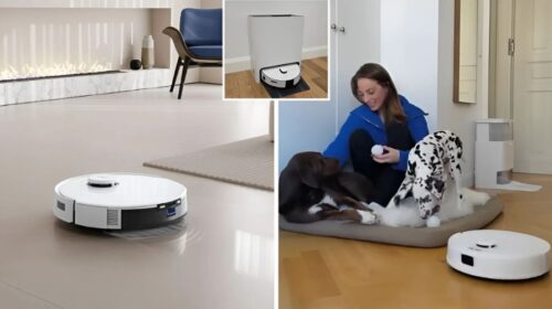 Best Robot Vacuums